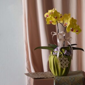 Raya_2024_Flower_Collection_Riang_Riuh_Mini_Phalaenopsis_Orkid_PJ_Florist_KL_Klang_Valley_Flower_Gift_Delivery_Services