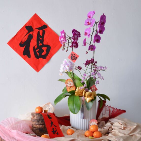 Happy Chinese New Year CNY 2022 AfterRainFlorist PJ Malaysia Florist KL Selangor Klang Valley Flower & Gift Delivery Service Phalaenopsis Orchid Potted Plant Blissfully CNY Cute Mini Phalaenopsis Orchid Pot 5 types stalks