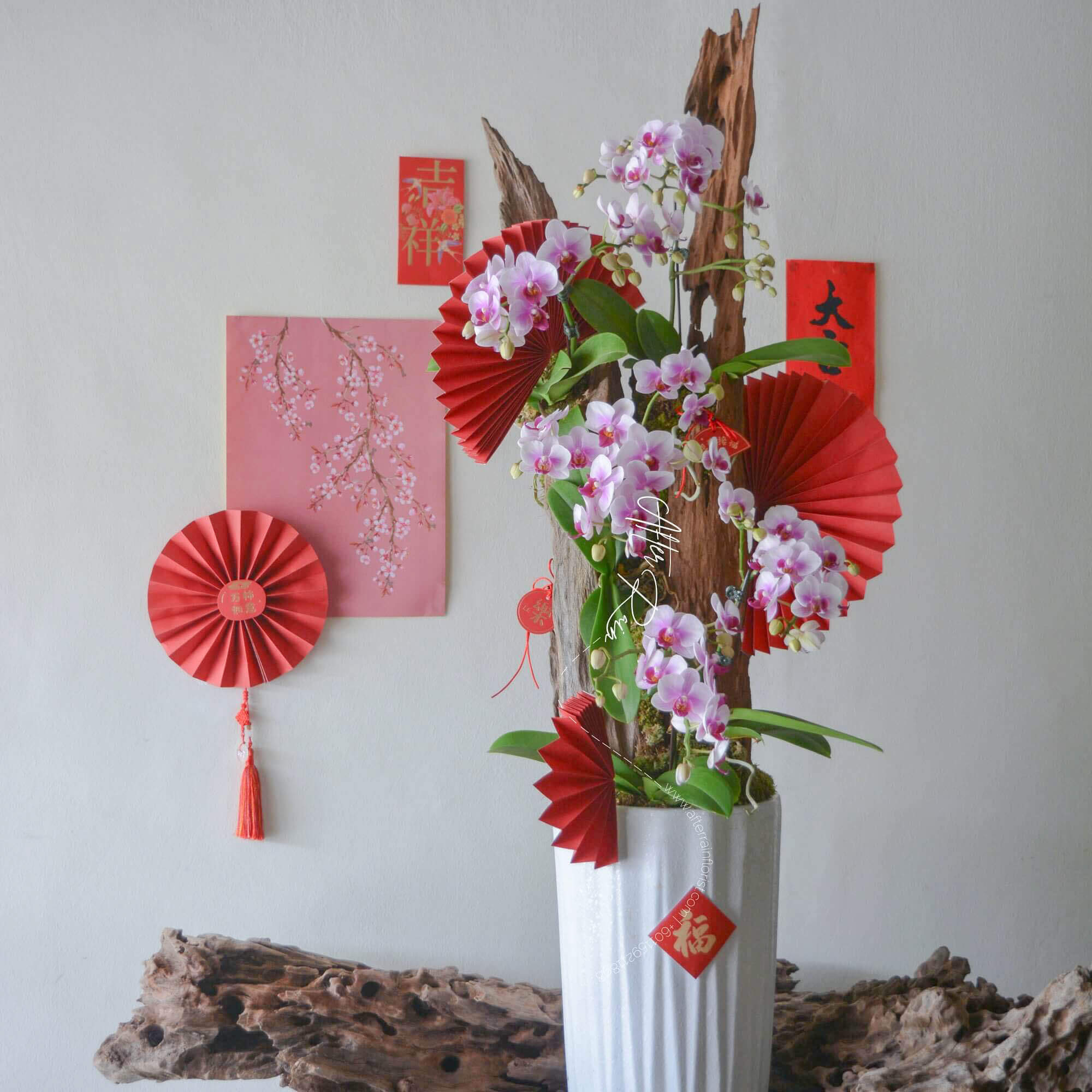 Chinese_New_Year_CNY_Giant_Big_Special_2026_Limited_edition_Prosperity_Phalaenopsis_Orchid_Driftwood_Flower_Gift_Arrangement PJ_Selangor_Florist_KL_Klang_Valley_Delivery_Services
