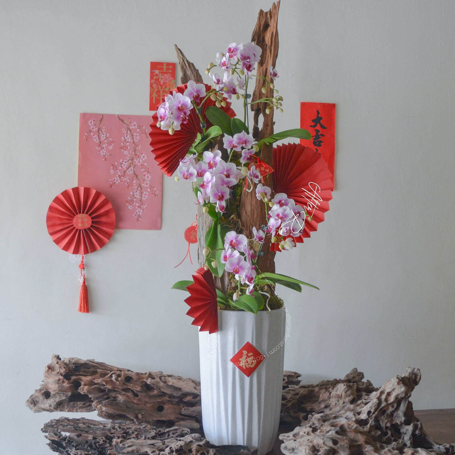 Chinese_New_Year_CNY_Giant_Big_Special_2026_Limited_edition_Prosperity_Phalaenopsis_Orchid_Driftwood_Flower_Gift_Arrangement PJ_Selangor_Florist_KL_Klang_Valley_Delivery_Services